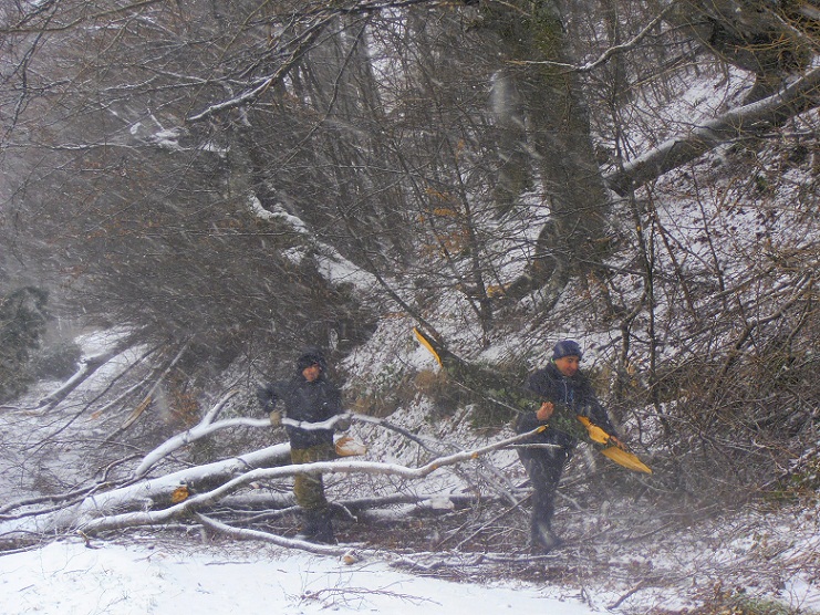 Олуја oпустошила Брус, угрожено око 600 људи, у Ивањици 111 домаћинстава без струје